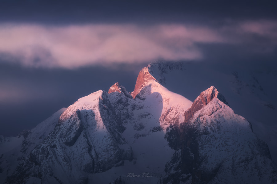 Pink Lady by Bruno Pisani on 500px.com