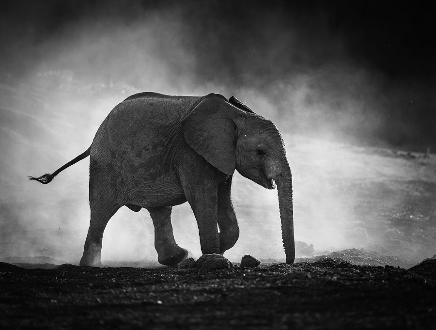 Crack the Light by Jaco Marx on 500px.com