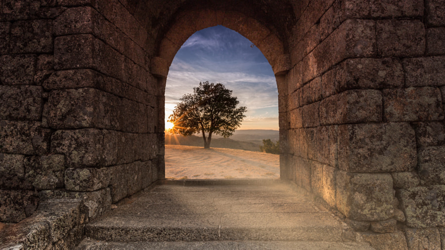 The tale told by the sun by Pedro Quintela on 500px.com