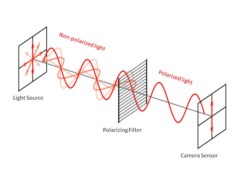 Example of linear polarization of light