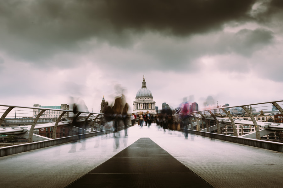 Dead or Alive by Mark  Cornick  on 500px.com