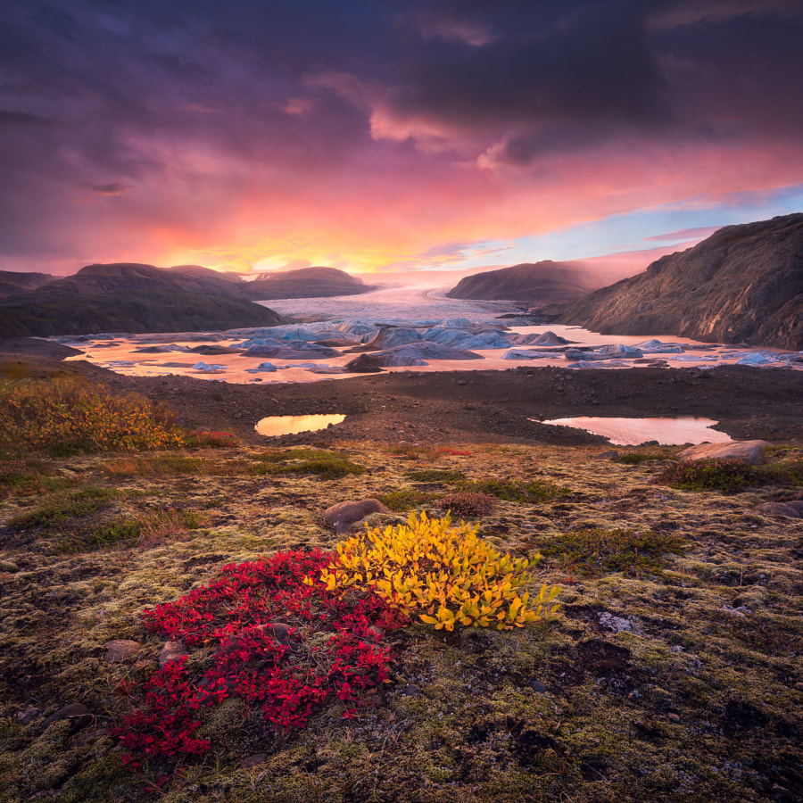 The Great Retreat by Daniel Laan on 500px.com