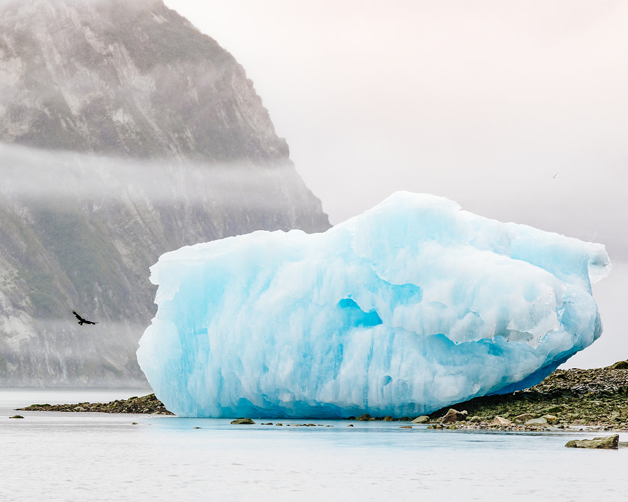 Glacier Bay National Park, Alaska by Andrew Peacock on 500px.com