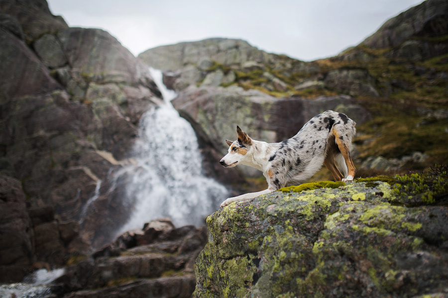 Stavanger by Iza ?yso? on 500px.com