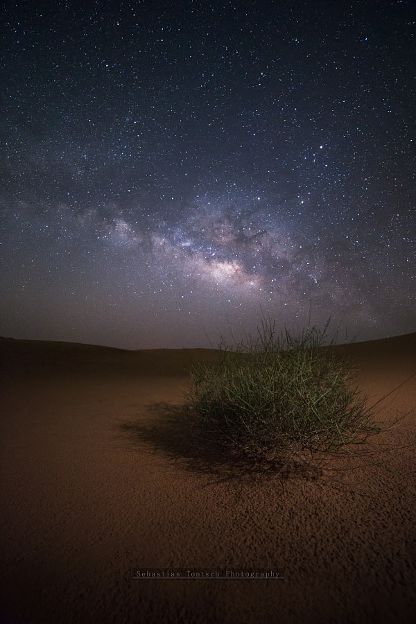 On the Origin of Species II by Sebastian Tontsch on 500px.com