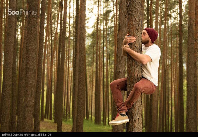 stock-photo-hugging-a-tree-35553108