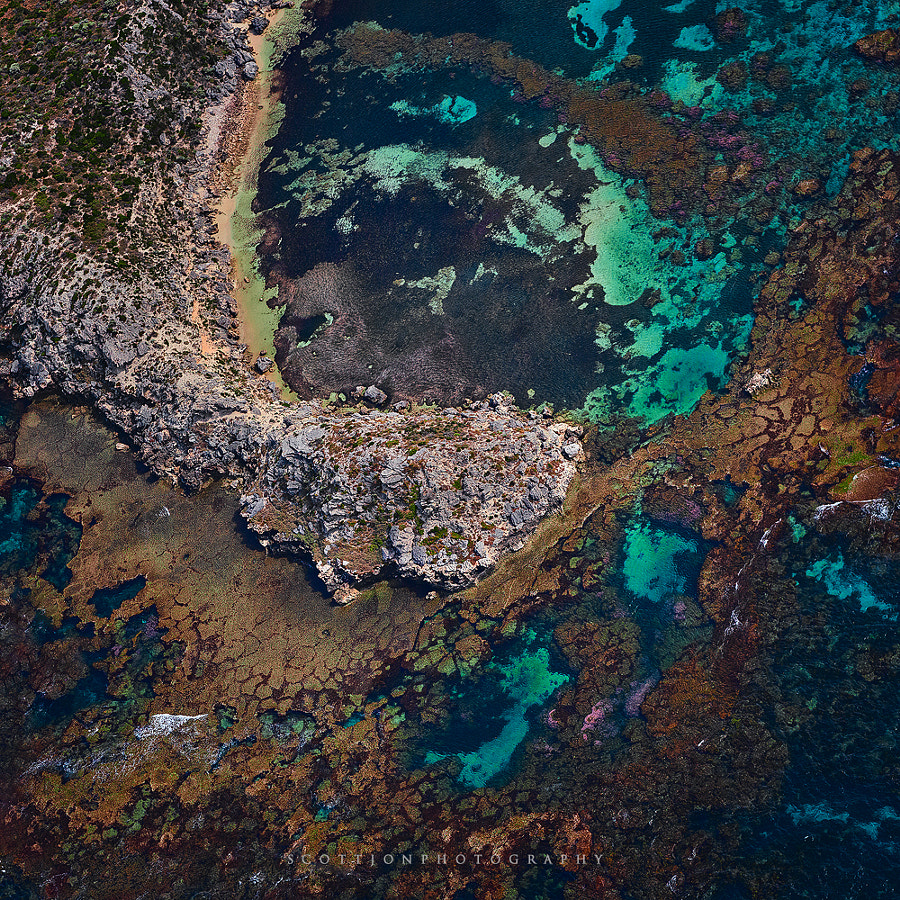 Elixir Of Life by Scott McCook on 500px.com