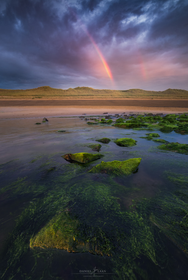 Rainsience by Daniel Laan on 500px.com