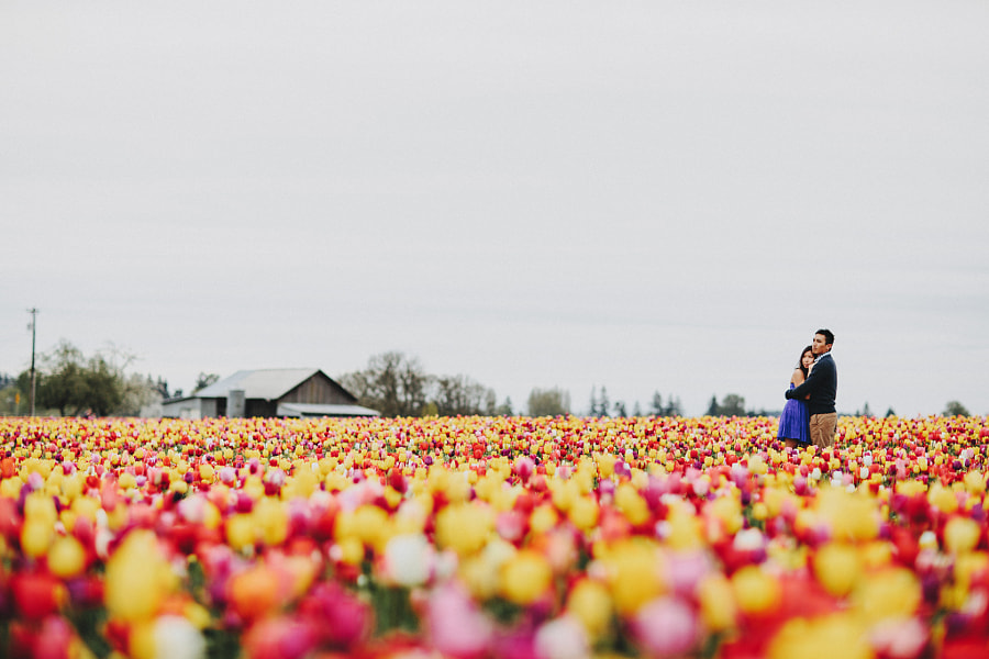 Love & Tulips  by Sara K Byrne on 500px.com