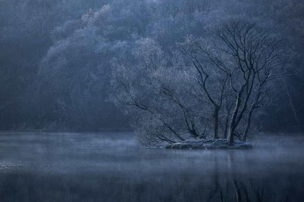 Birmingham blue hoar frost landscape