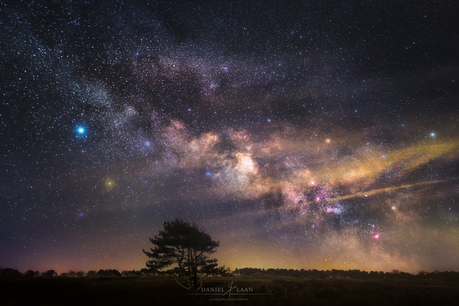 Tree of Existence by Daniel Laan on 500px.com