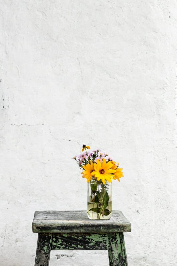 flowers before a negative space white wall