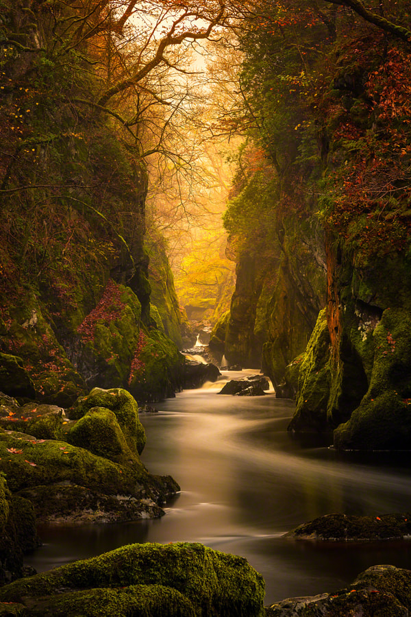 Fairy Glen Gorge, River Conwy by Craig McCormick on 500px.com