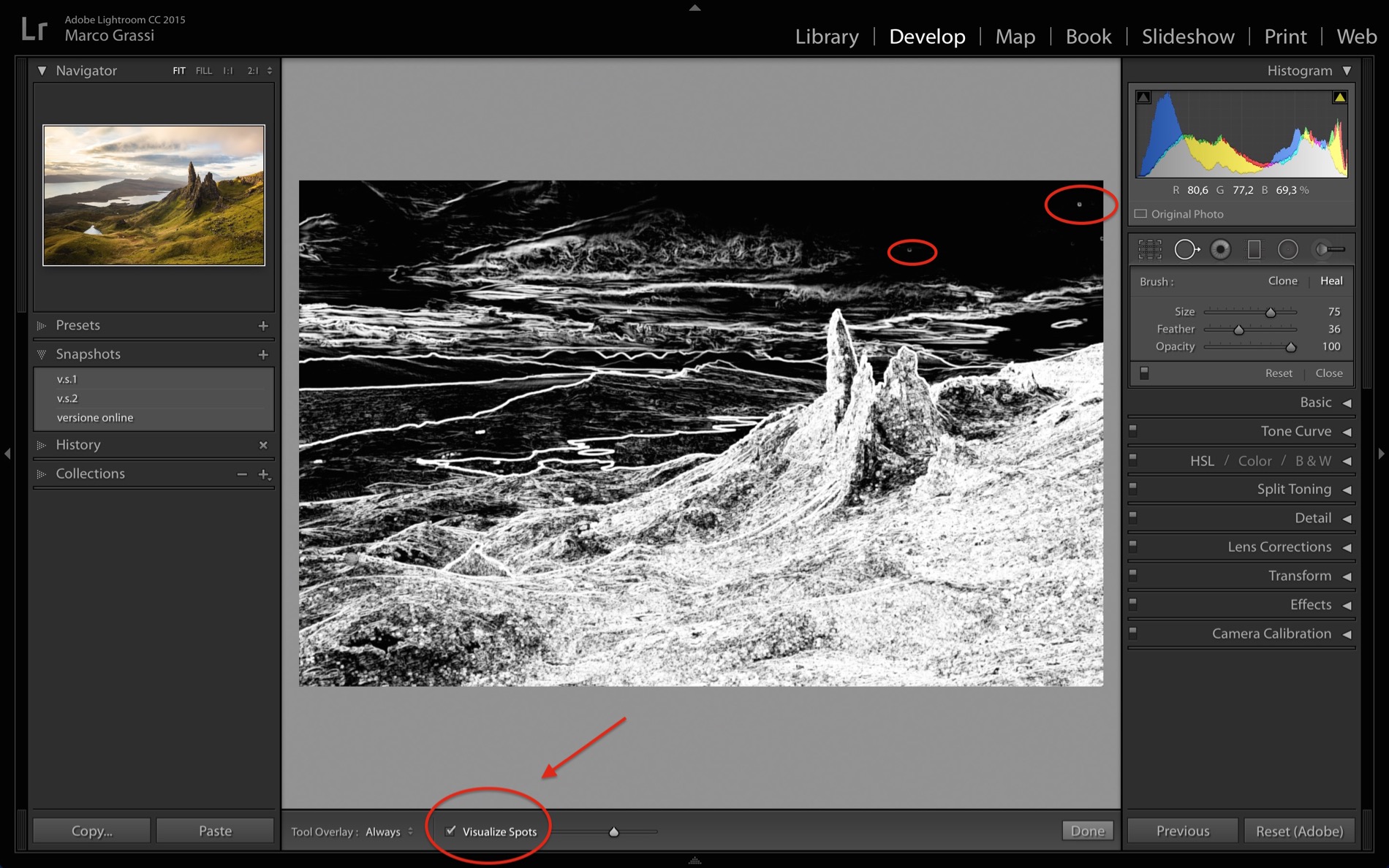 Lightroom_Visualize_Spot_removal_tool_2