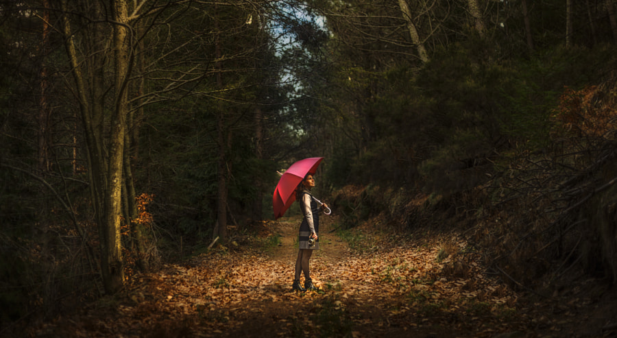 Come Rain or Shine by Pedro Quintela on 500px.com