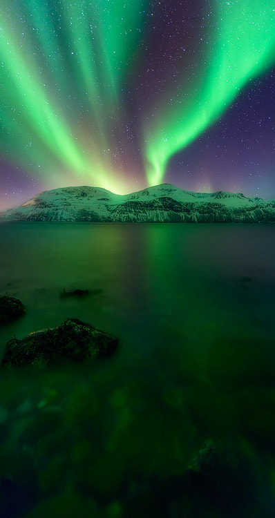 Gates of the Arctic - Norway by Dave Morrow on 500px.com