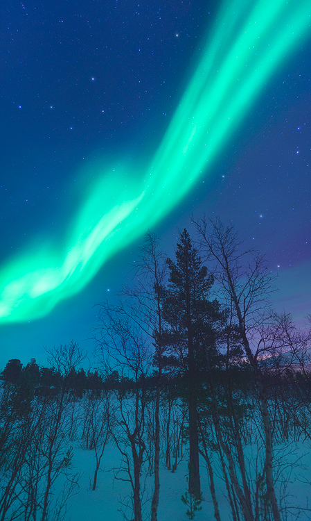 Northern Lights in Sweden