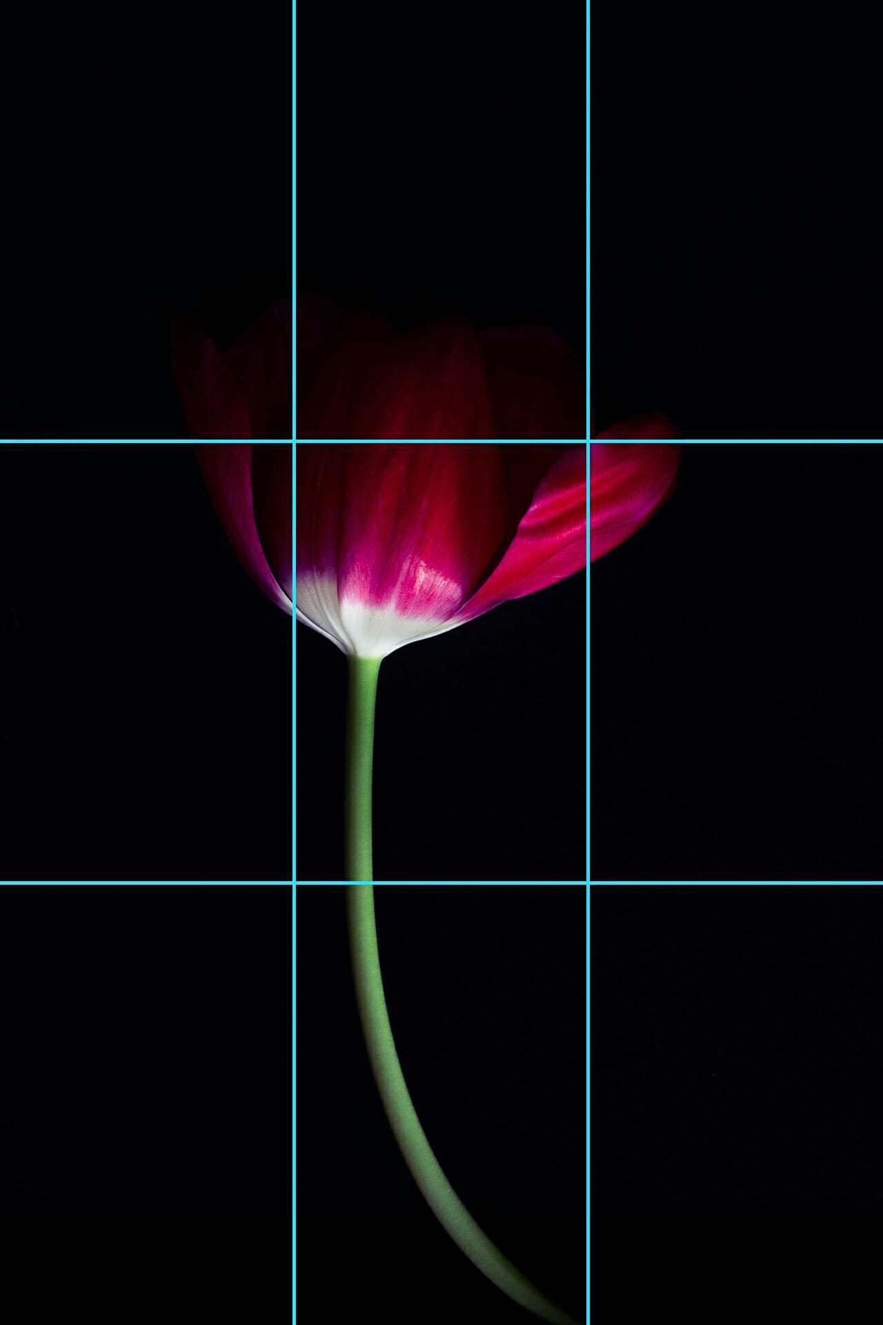 rule of thirds grid example
