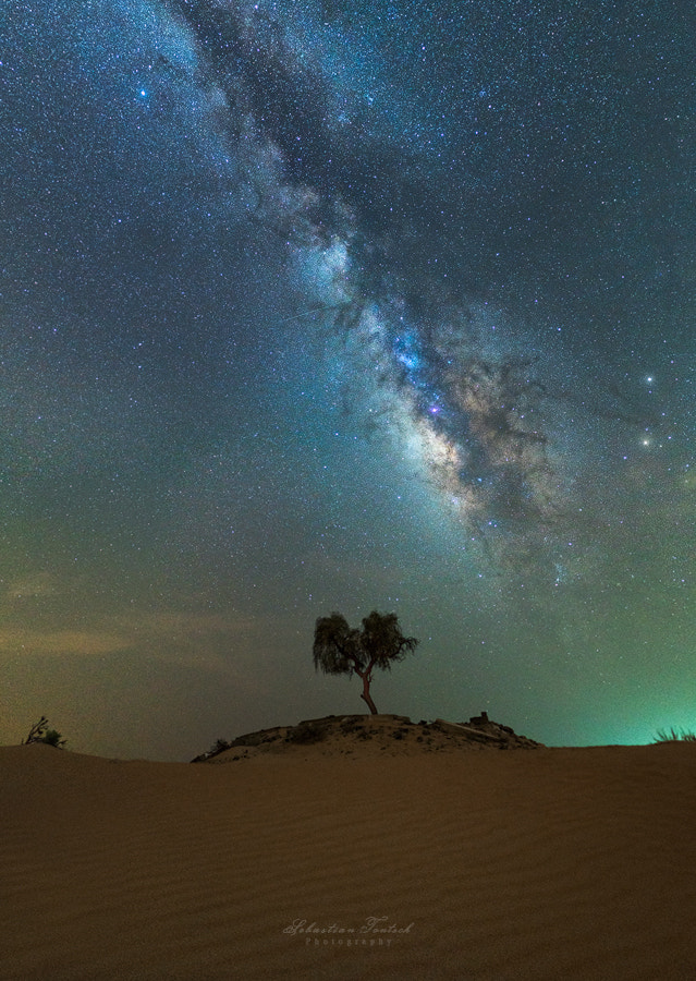 Life by Sebastian Tontsch on 500px.com