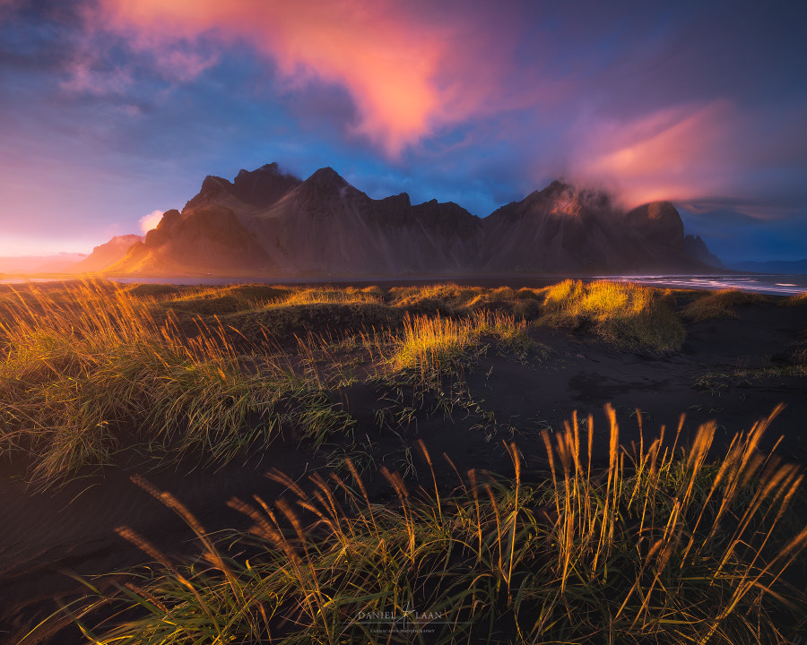 Hornset by Daniel Laan on 500px.com