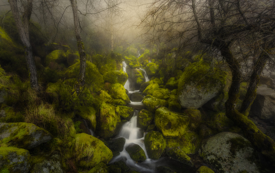 _The Speed of Light_ by Pedro Quintela on 500px.com