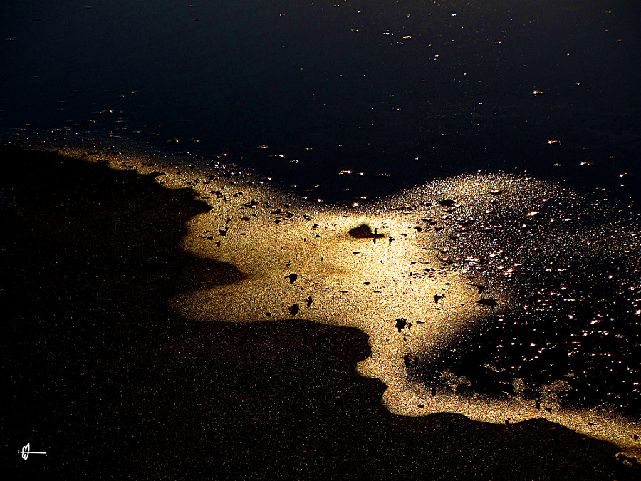 False Beach by Librelula on 500px.com