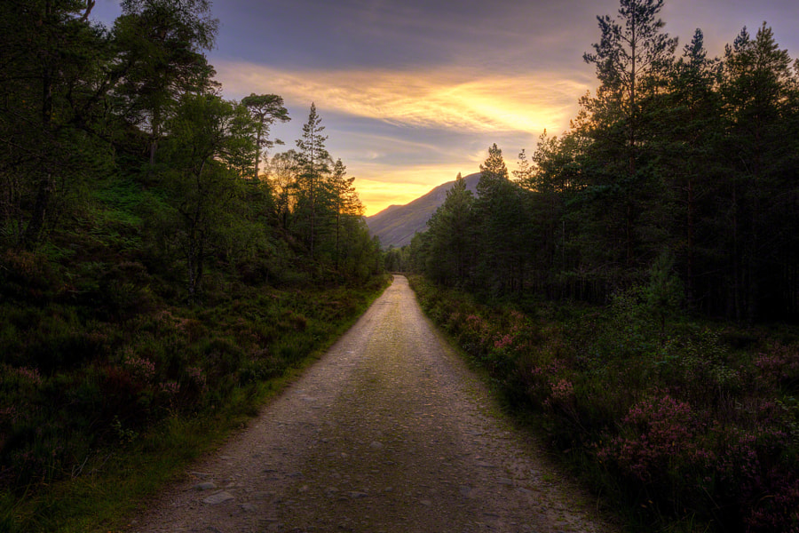 Glen Affric Trail by Craig McCormick on 500px.com