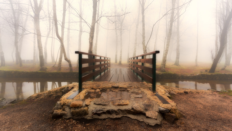 Destiny Awaits by Pedro Quintela on 500px.com