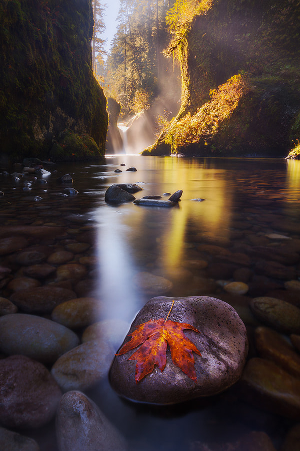 Fall at the Punchbowl by Dylan Toh  & Marianne Lim on 500px.com