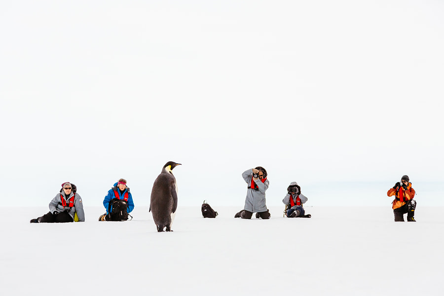 Antarctic photo shoot by Andrew Peacock on 500px.com