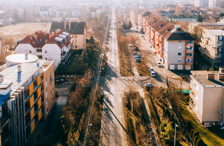 The avenue by Szabo Viktor on 500px.com