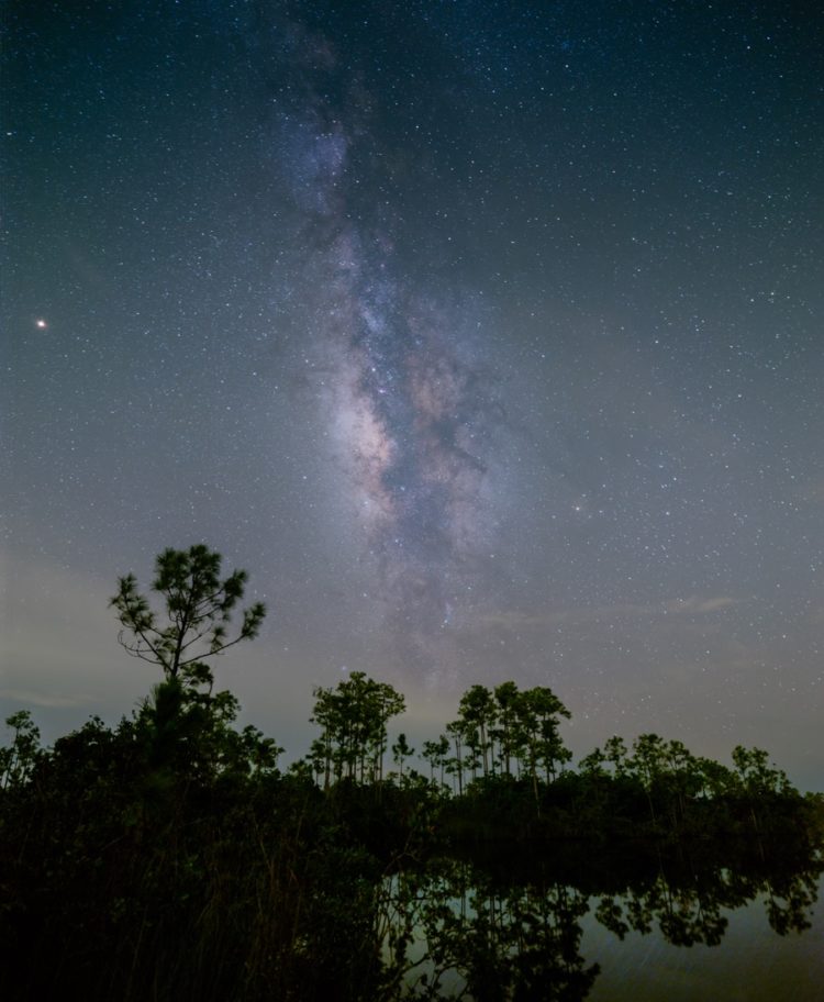 my best shot of the milky way over the florida everglades was taken when I was least comfortable