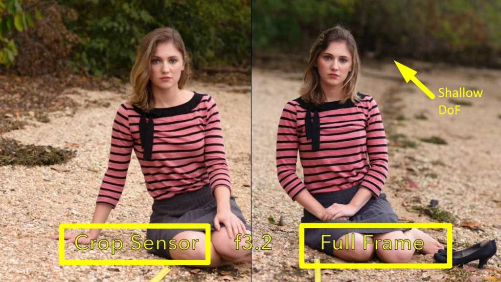 Two images showing the effect of sensor size on DoF