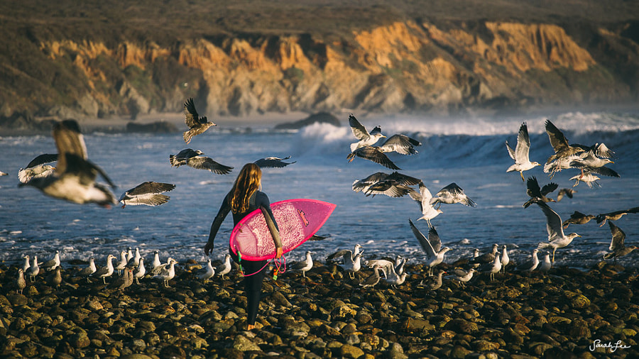 Surfing in Big Sur by Sarah Lee on 500px.com