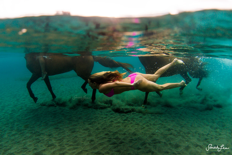 Swimming with Horses in Dominica by Sarah Lee on 500px.com