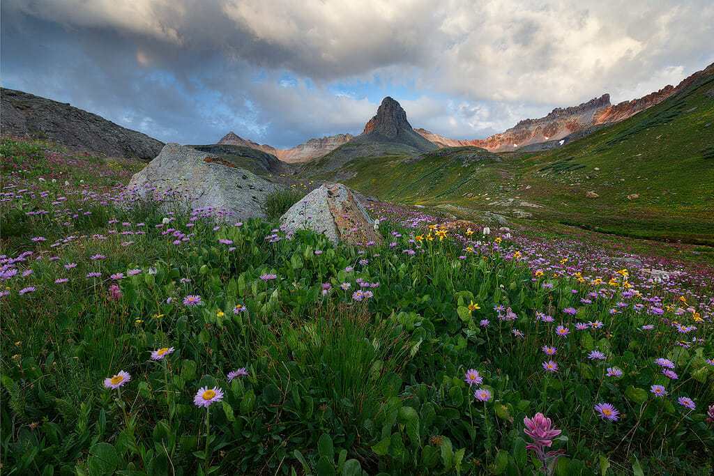 An example of a landscape photo where foreground flower and background mountain ranges are in sharp focus due to hyperfocal distance usage.