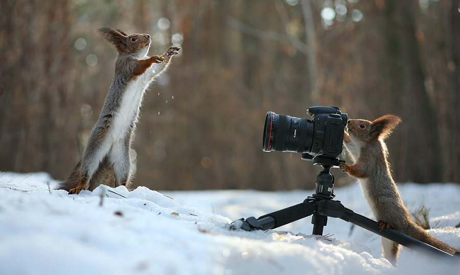 Take a photo me, photographer! by Vadim Trunov on 500px.com