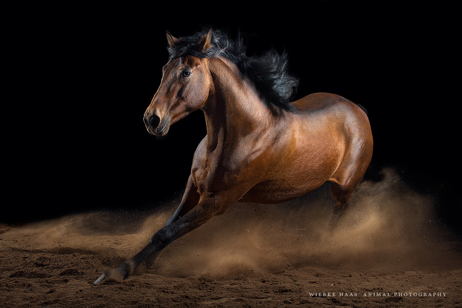 Whirlwind by Wiebke Haas on 500px.com