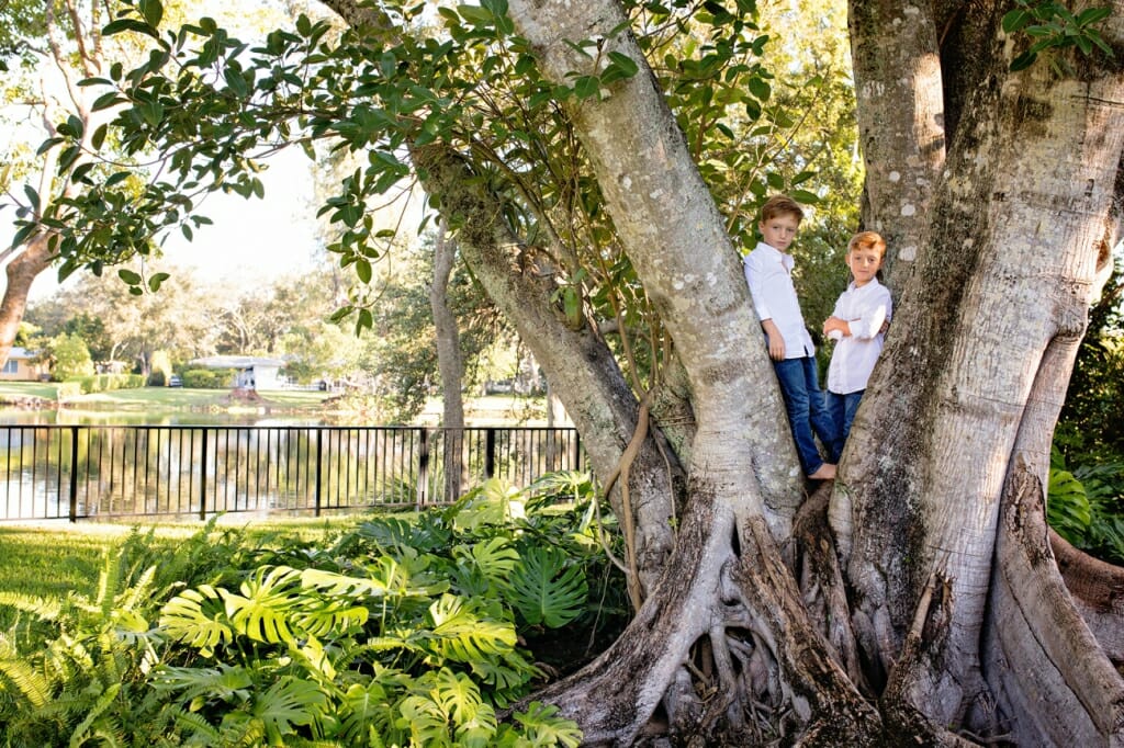 children in tree