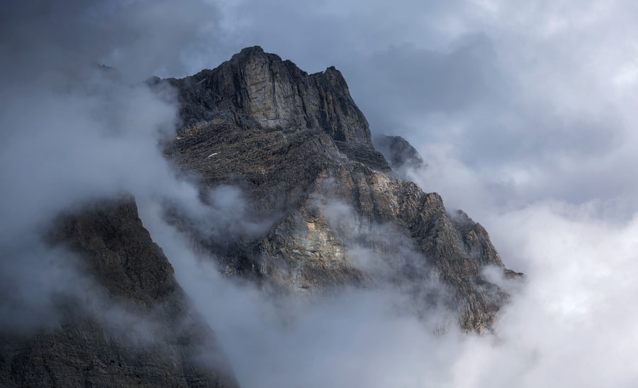 Mtn Mist pano by Michael Bollino on 500px.com