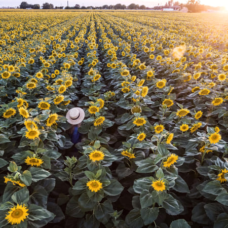 Drone photography contest submission by Kaitlyn McLachlan on 500px