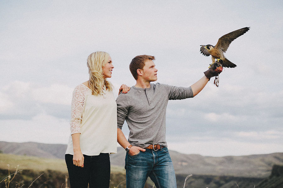 Falcon Engagement! by Sara K Byrne on 500px.com