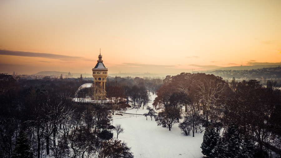 Margaret island by Szabo Viktor on 500px.com