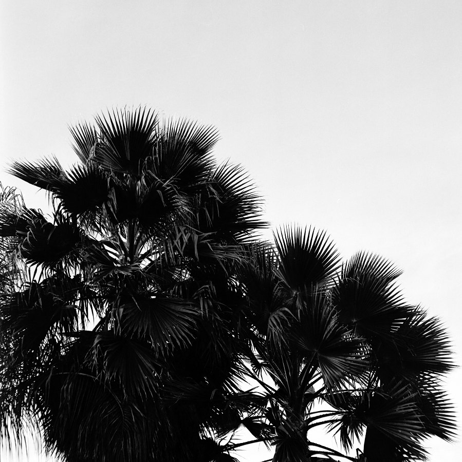 Summertime by Ben Robson on 500px.com