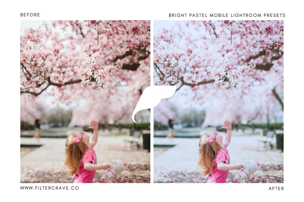 Bright Pastel Lightroom Presets 3598368