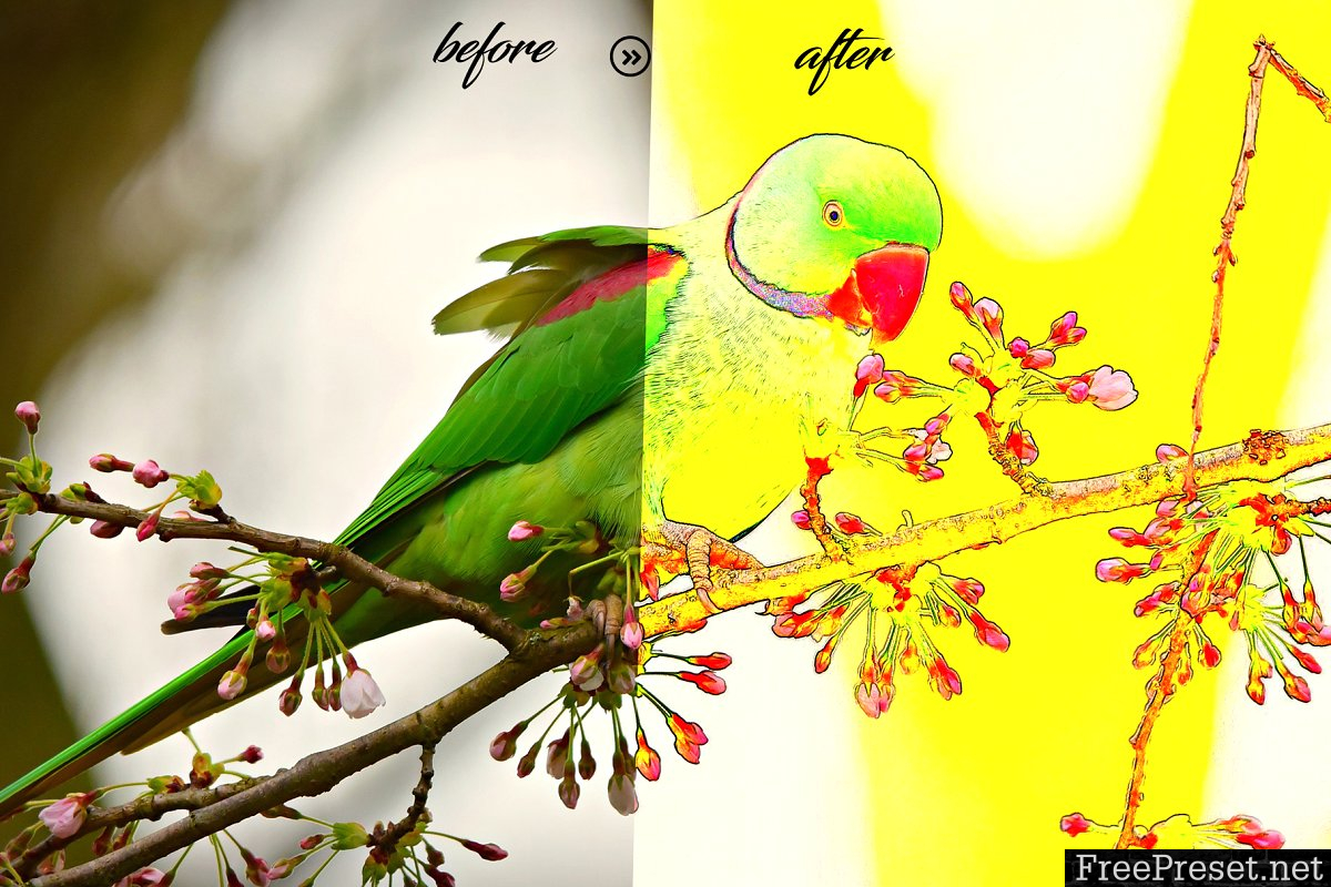 Color Art Photoshop Action 3619084