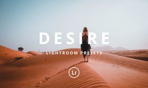 Desire Lightroom preset 2462327