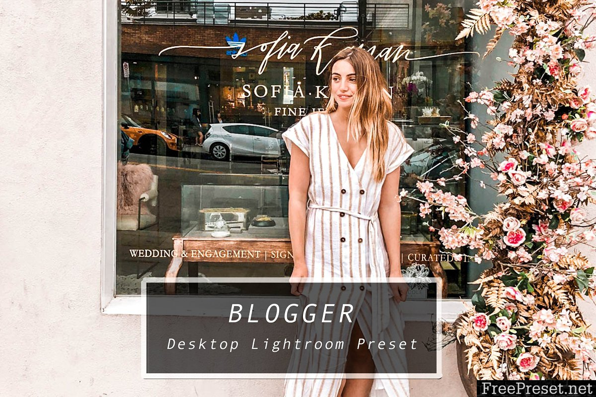 Desktop Lightroom Preset BLOGGER 3628791