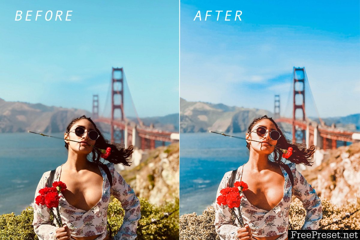 Desktop Lightroom Preset CALIFORNIA 3628655