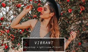 Desktop Lightroom Preset VIBRANT 3622962